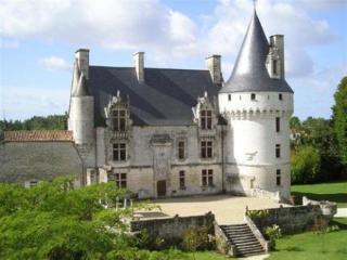Chateau De Crazannes Экстерьер фото