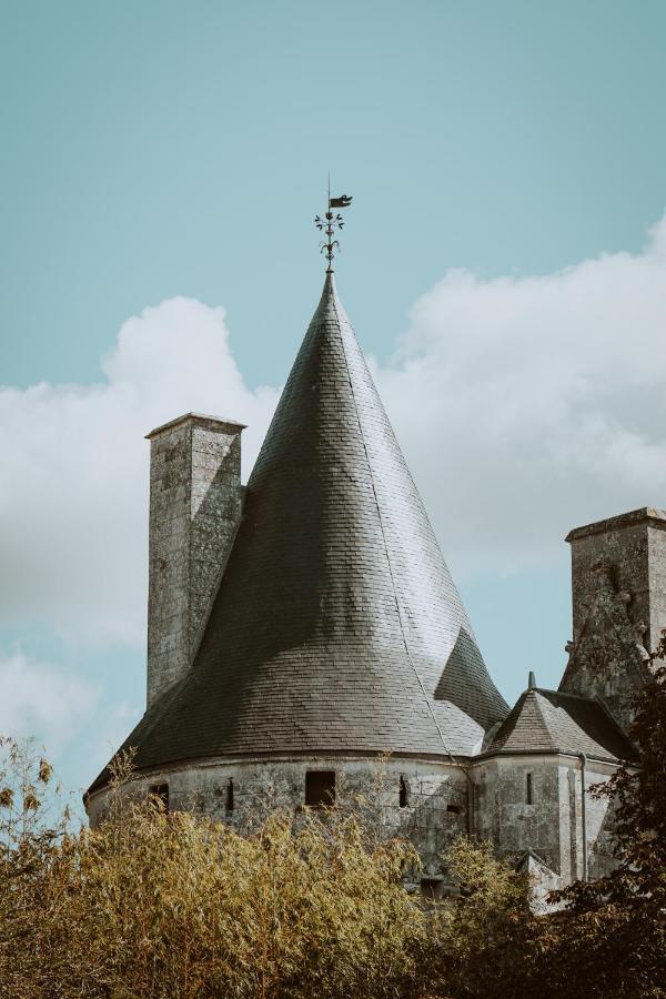 Chateau De Crazannes Экстерьер фото